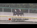 【2026 千葉サラブレッドセール】 公開調教第4組