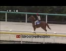 【2026 千葉サラブレッドセール】 公開調教第6組