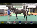 【2026 千葉サラブレッドセール】 上場番号21～40