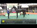 【2026 千葉サラブレッドセール】 上場番号41～60