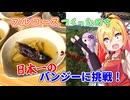 宿で本気のフルコースを作った翌日、日本一のバンジーへ。【VOICEROIDキッチン+α】
