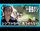 【めっちゃカメレオン】隠れるコツはとにかくシンプルでいけ！