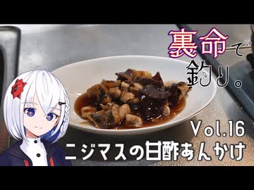 裏命で釣り。Vol.16「ニジマスの甘酢あんかけ」