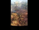 解放の軌跡Ⅱ (BRONZE)