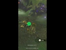 【ティアキン】風見の草原のイエロック　ゼルダの伝説ティアーズ オブザキングダムNintendo Switch 2 Edition