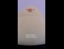 東京流星群 / SUPER BEAVER (acapella cover)