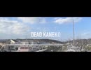 【鉄道MAD】金子駅×dead zone【音系MAD】