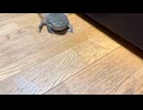 俺ごめんって言ってんのにさ