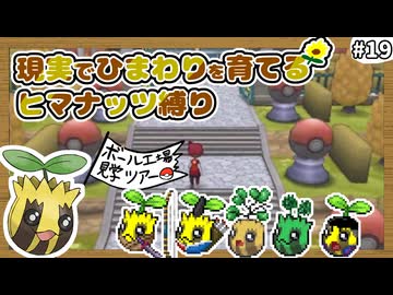 【ポケモンXY】ヒマナッツがひんしになったら『現実で向日葵を育てる縛り』（Part⑲）