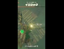【ティアキン】モルセ湖東のイエロック　ゼルダの伝説ティアーズ オブザキングダムNintendo Switch 2 Edition