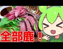 【COOL＆déclinaison】鹿のデクリネゾンなのだ！！【ももんじゃきりたん】