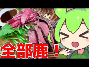 【COOL＆déclinaison】鹿のデクリネゾンなのだ！！【ももんじゃきりたん】