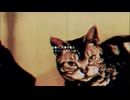 昨日も - 裏命