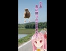 なあ、鳥に勝ったことある？ウチはあるで(琴葉茜)【ボイスロイド劇場】