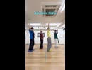 【Littleloidぷらす】Voice of Sword(あんスタ)【踊ってみた】