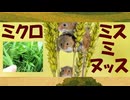 【LyricVideo】ミクロミスミヌッス / ななしのめっち