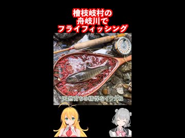 秘境 福島県檜枝岐 舟岐川で #フライフィッシング #弦巻マキ #小春六花 実況