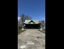小樽・水天宮における桜の開花風景 - 2026年4月29日(Short video)