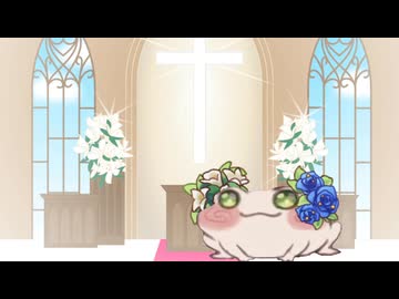 Top5 UiFi + おまけ【高速Ui-Fi合作単品】
