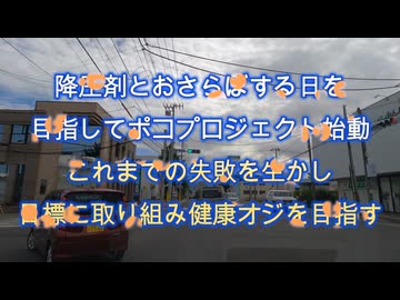 【ポコプロジェクト】降圧剤とおさらばする日を目指して！