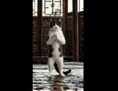 猫の修行にゃぉ　うちの子立ち絵にしてついでにちょい動かしてみた