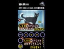 LSD SPDAY exきりたん入り DAY 241 猫を預かる