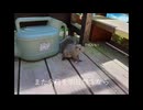 これから/音街ウナ