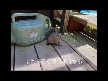 これから/音街ウナ