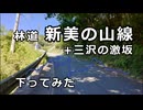 林道新美の山線を下ってみた(画質改善)