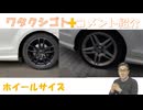 ギランバレー症候群かは分からないが ワクチン被害に多い誤えん性肺炎もこの影響なのかな？創価の人が毎回公明党に入れてくれと来るこれも不正かな？←コメ【アラ還・読書中毒】私事：ホイールサイズをどうしよう？