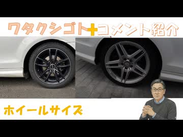 ギランバレー症候群かは分からないが ワクチン被害に多い誤えん性肺炎もこの影響なのかな？創価の人が毎回公明党に入れてくれと来るこれも不正かな？←コメ【アラ還・読書中毒】私事：ホイールサイズをどうしよう？