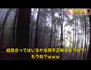 （台風通過中のメインエリア）変態忍者の、有害鳥獣駆除従事活動記・その３７６