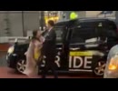 ホモと見る無理やりタクシーに詰め込まれる女
