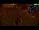 FF13-2-705