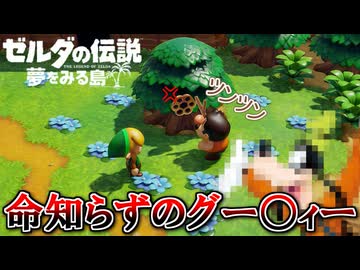 夏だし冒険しよう！『ゼルダの伝説 夢をみる島』 part5