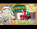 初めてのゲートオープンで新エリアにれっつらご～！┆ぽこあポケモン┆10〖初見実況〗