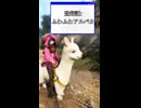 【黒い砂漠】登録証：ふわふわアルパカ