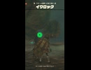 【ティアキン】ラネール湿原への抜け道のイワロック　ゼルダの伝説ティアーズ オブザキングダムNintendo Switch 2 Edition