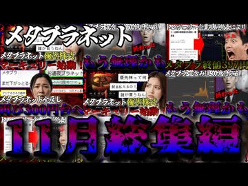 【作業用】メタプラネットBTCが暴落した11月総集編【ずんだもん解説】