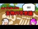 【VOICEROID解説】ゆかり先輩と知る生物の不思議【化石】