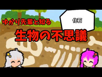 【VOICEROID解説】ゆかり先輩と知る生物の不思議【化石】