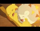 ポケットモンスター サン＆ムーン　第6話　びりびりちくちくトゲデマル！