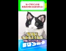 長く音楽で活動するためには「セーブポイント」が必要？！ #はろみゅ