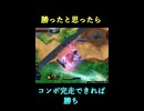 【EXVS2IB】勝ったと思ったら