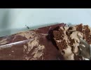 パリパリチョコショート17