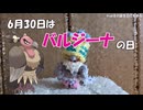 【6月30日は】バルジーナのポケモンfitにゴツゴツメットを用意してみた【バルジーナの日in2026】