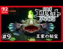 #9【冒険家エリオットの千年物語】王家に伝わる魔法の盾を手に入れよう【ネタバレあり】