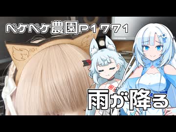 2026年6月29日　日記1771　雨が続き出来る作業は木工作業ぐらいしかない