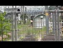 【ワンマンハムエッグ！】e129系 上越線 六日町駅にて