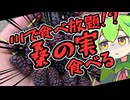 お腹がすいたら桑食べればいいじゃない
